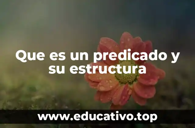 Que es un predicado y su estructura