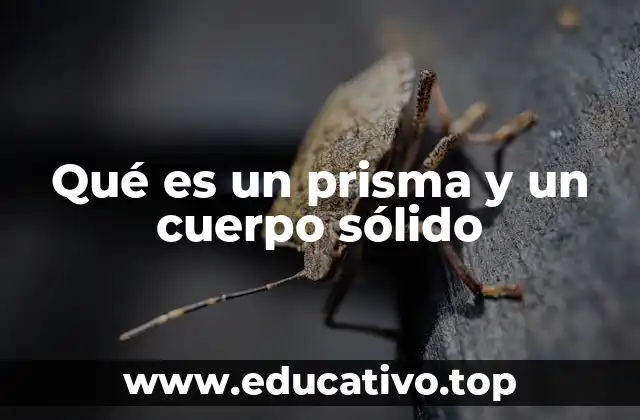 Qué es un prisma y un cuerpo sólido