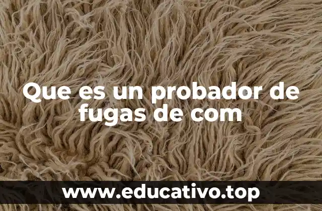 Que es un probador de fugas de com