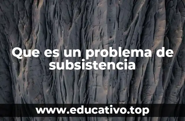 Que es un problema de subsistencia
