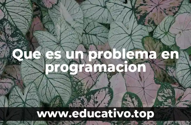 Que es un problema en programacion