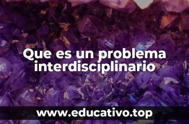 Que es un problema interdisciplinario