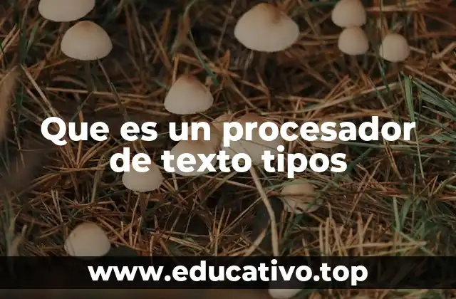 Que es un procesador de texto tipos