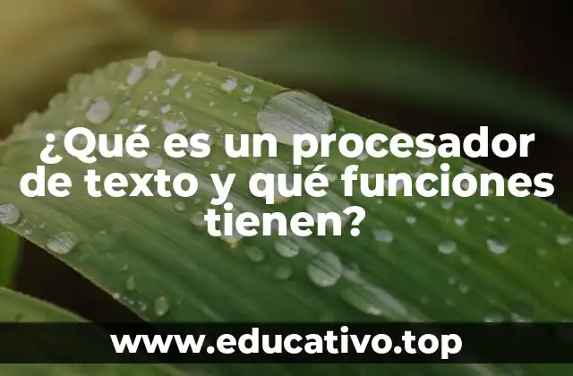 ¿Qué es un procesador de texto y qué funciones tienen?
