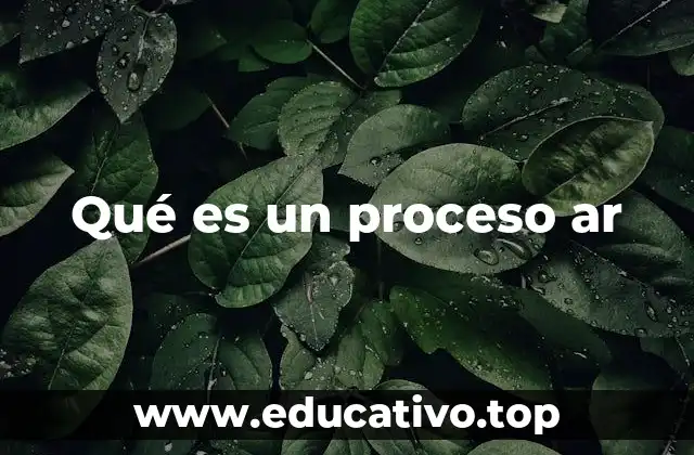 Qué es un proceso ar