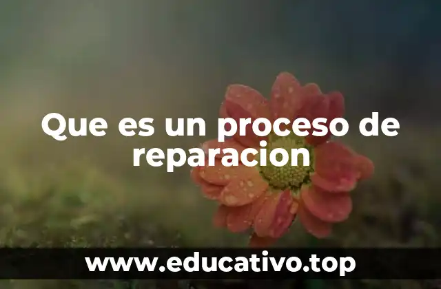 Que es un proceso de reparacion