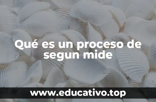 Qué es un proceso de segun mide
