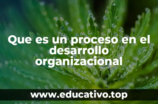 La evolución de los procesos de desarrollo organizacional