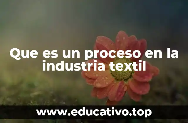 Que es un proceso en la industria textil