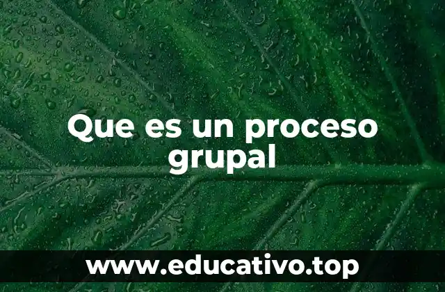 Que es un proceso grupal