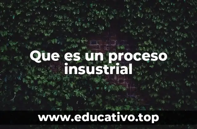 Que es un proceso insustrial