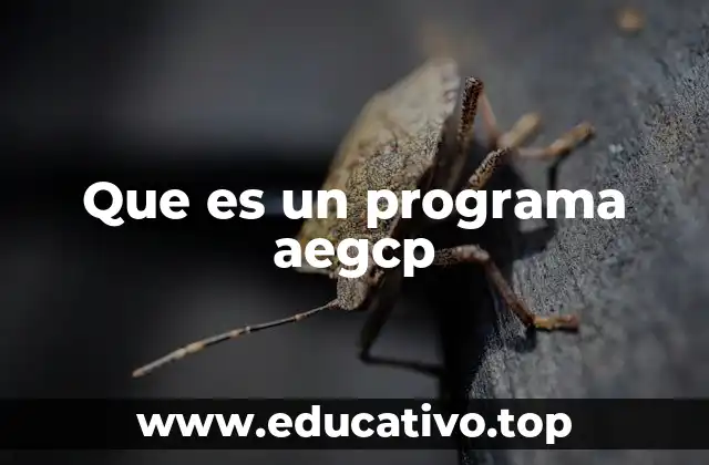 Que es un programa aegcp