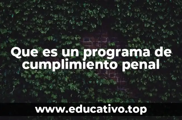 El papel de los programas en la ejecución de sentencias