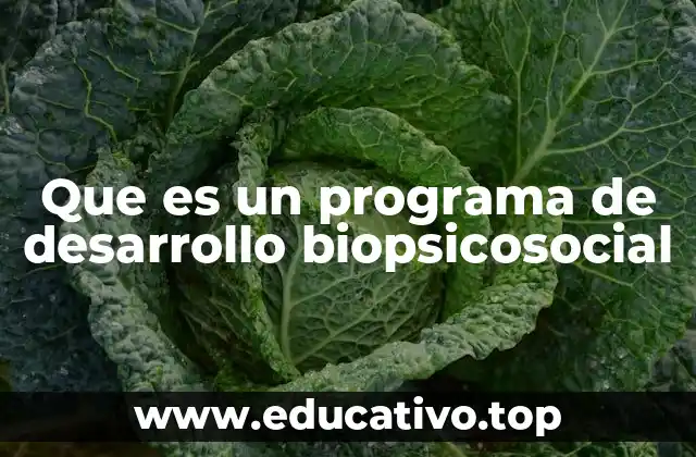 Que es un programa de desarrollo biopsicosocial