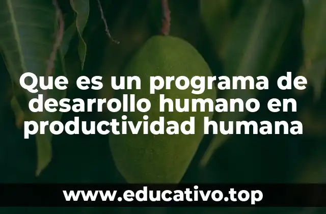 Que es un programa de desarrollo humano en productividad humana