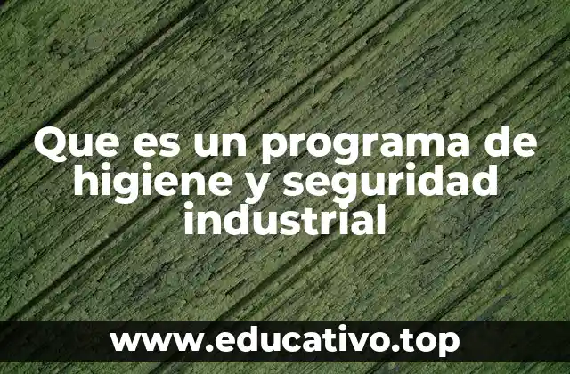 Que es un programa de higiene y seguridad industrial