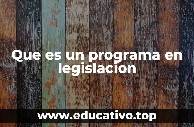 Que es un programa en legislacion