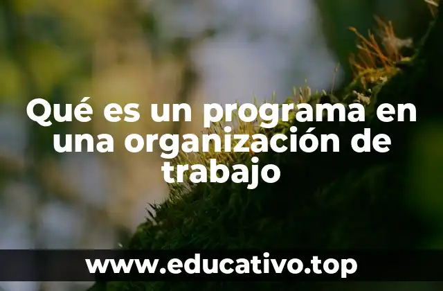 El rol de los programas en la planificación estratégica empresarial