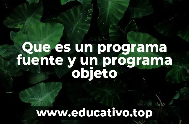 Que es un programa fuente y un programa objeto