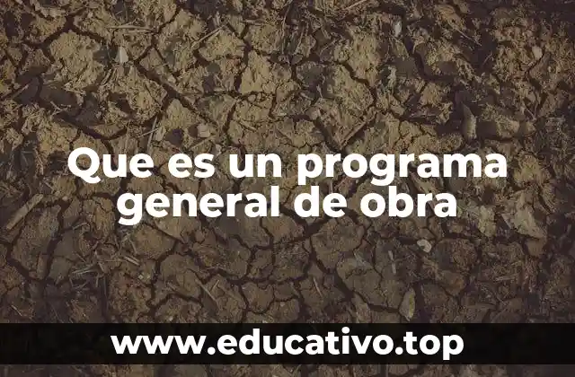 Que es un programa general de obra
