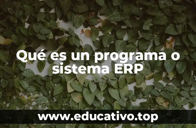 Qué es un programa o sistema ERP