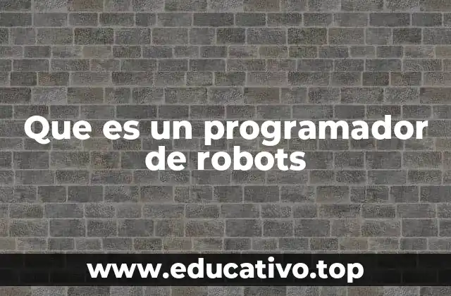 Que es un programador de robots