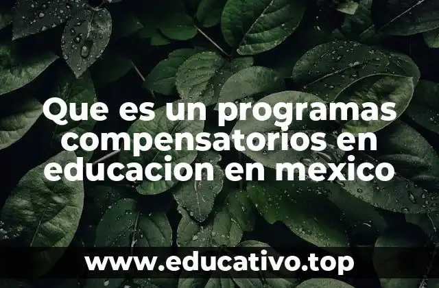 Que es un programas compensatorios en educacion en mexico