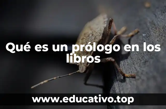 Qué es un prólogo en los libros