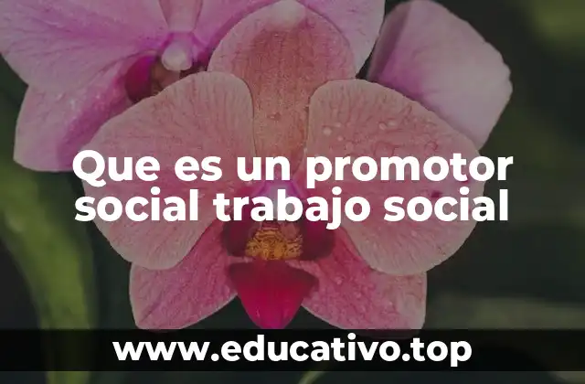Que es un promotor social trabajo social