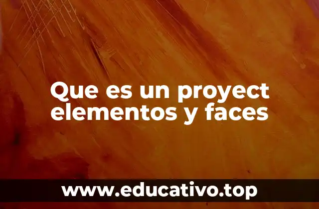 Que es un proyect elementos y faces