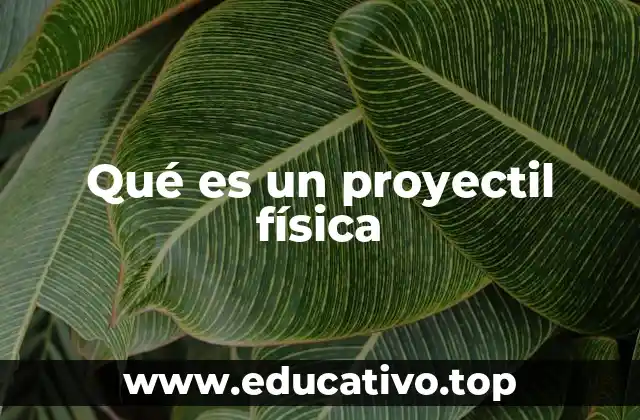 Qué es un proyectil física