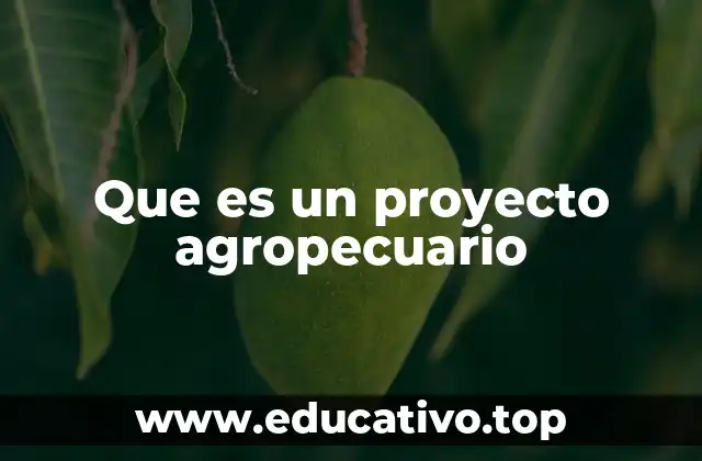 Que es un proyecto agropecuario