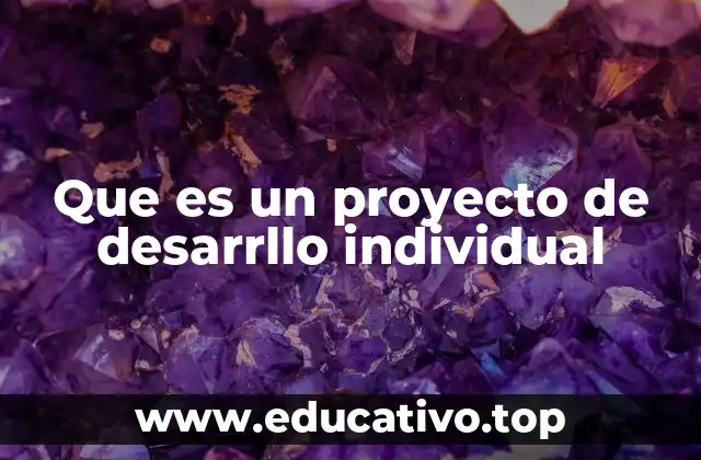 Que es un proyecto de desarrllo individual