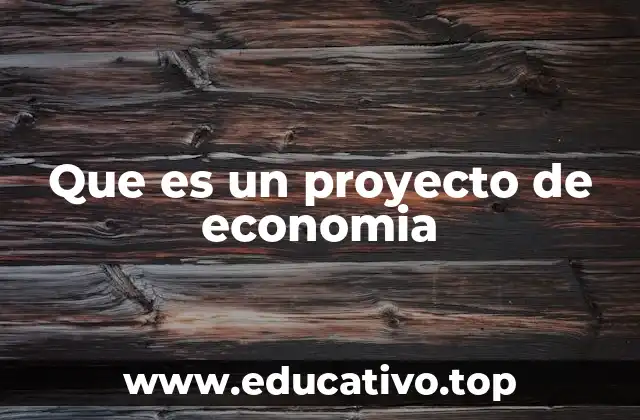 Que es un proyecto de economia