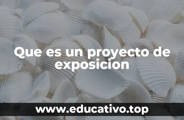 La importancia de los proyectos de exposición en la sociedad