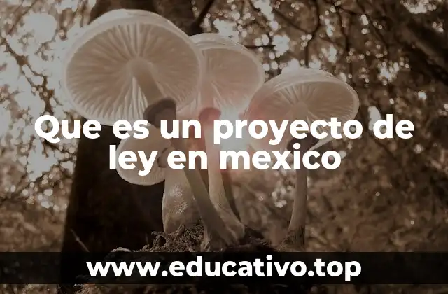 Que es un proyecto de ley en mexico