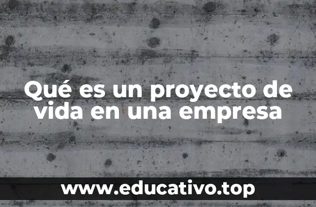 Qué es un proyecto de vida en una empresa