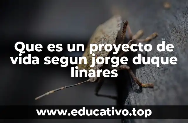 Que es un proyecto de vida segun jorge duque linares
