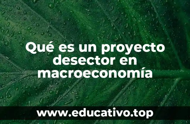 Qué es un proyecto desector en macroeconomía