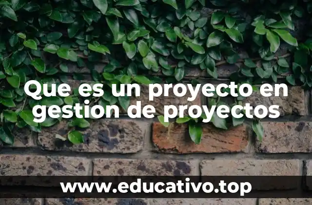 Que es un proyecto en gestion de proyectos