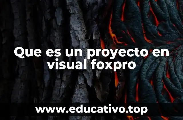 Que es un proyecto en visual foxpro