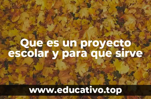 Que es un proyecto escolar y para que sirve
