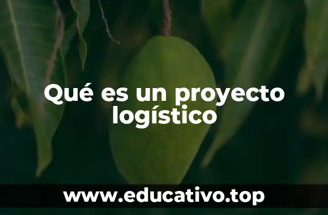 Qué es un proyecto logístico