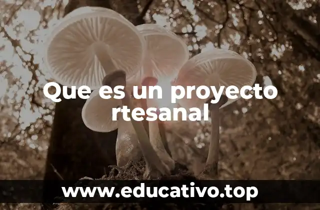 Que es un proyecto rtesanal