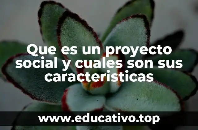 Que es un proyecto social y cuales son sus caracteristicas