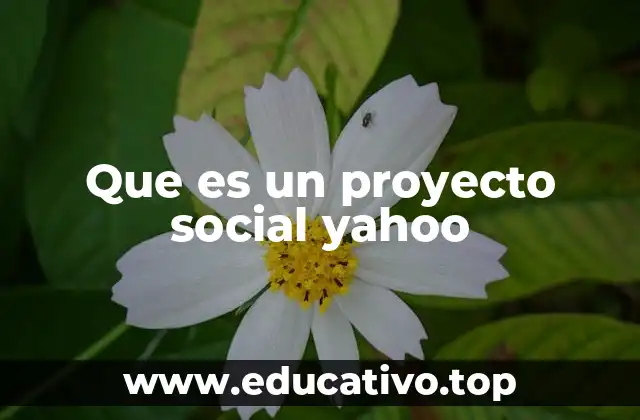 Que es un proyecto social yahoo