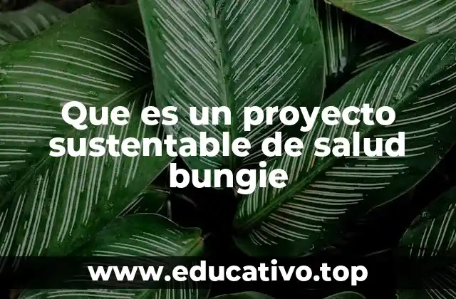 Que es un proyecto sustentable de salud bungie