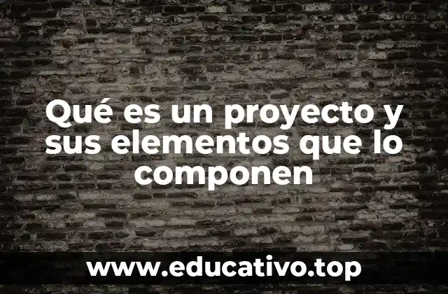 Qué es un proyecto y sus elementos que lo componen
