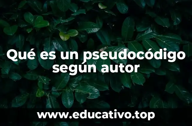 Qué es un pseudocódigo según autor