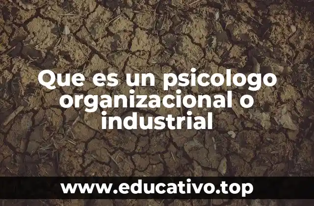Que es un psicologo organizacional o industrial